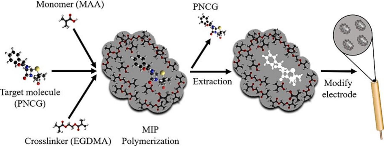 Electrochemical determination of Penicillin G in biological matrix